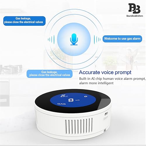 Natural Gas Sensor | Detects Leaks and Sends Alerts